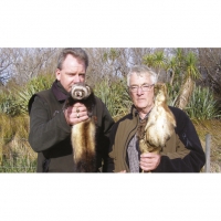 Predator and prey: Steve Playle, pest animal officer with Greater Wellington Regional Council (left), with a ferret trapped at Matthews Lagoon and DU president and wetland expert John Cheyne, with a stuffed Australasian bittern.    Photo: GWRC.