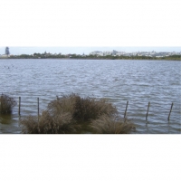 Well used: Looking East across the estuary towards Napier. Photo: Ian Jensen