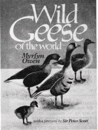 Wild Geese of the World