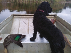 City slicker finds her roots Or is that her webbed feet.