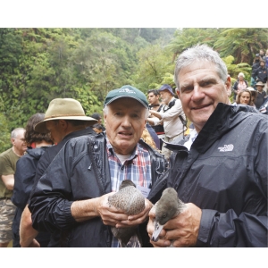 Whio set free: Horizons Cr Pat Kelly (left) and Cr David Cotton (right) at whio release in  February. We all hope those little ducks survived the wild weather.