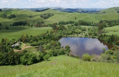 Jim’s house by the big pond, and right, an early photo from 1991 when the house was first built and extensive planting in the area had not yet begun