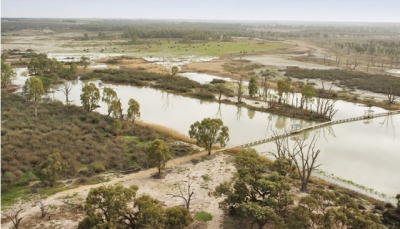 Water wonder: Flooding the wetlands at Banrock Station