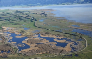 Birds eye: From the left, Mathews Lagoon, Boggy pond, Wairio next to Lake Wairarapa. Years ago all three wetlands were connected 