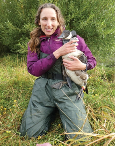 Tagging Canada geese is one of the activities  that Emma is involved in.