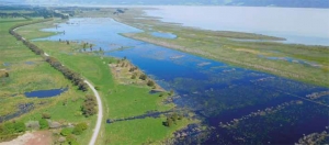 Boggy Pond, Wairio, South Wairarapa