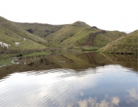 animals have access to water but only the ponds outside the deer fence