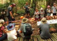 The Te Awamutu Scouts, Cubs and Keas