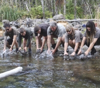 Gentle hands: The birds go into the water. From left, Gordon John, Ben Erkes, Max Erkes, Greg Evans, Lyn Hassell and Emmal Neal.